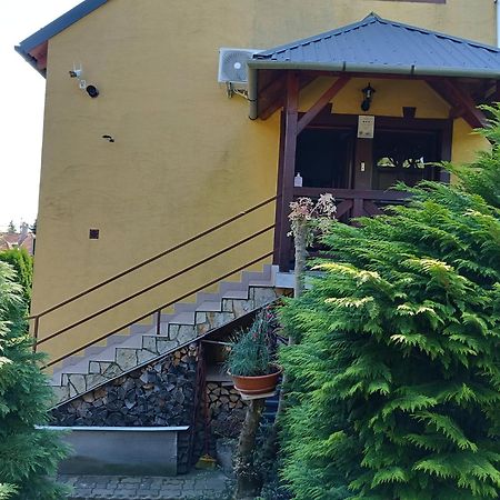 Anna Ilona Vendeghaz Hotel Badacsonytomaj Luaran gambar