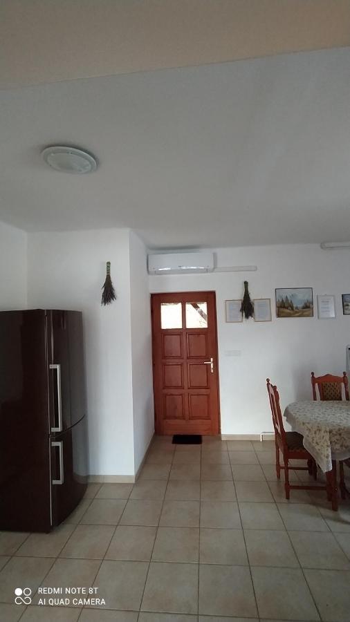 Anna Ilona Vendeghaz Hotel Badacsonytomaj Luaran gambar