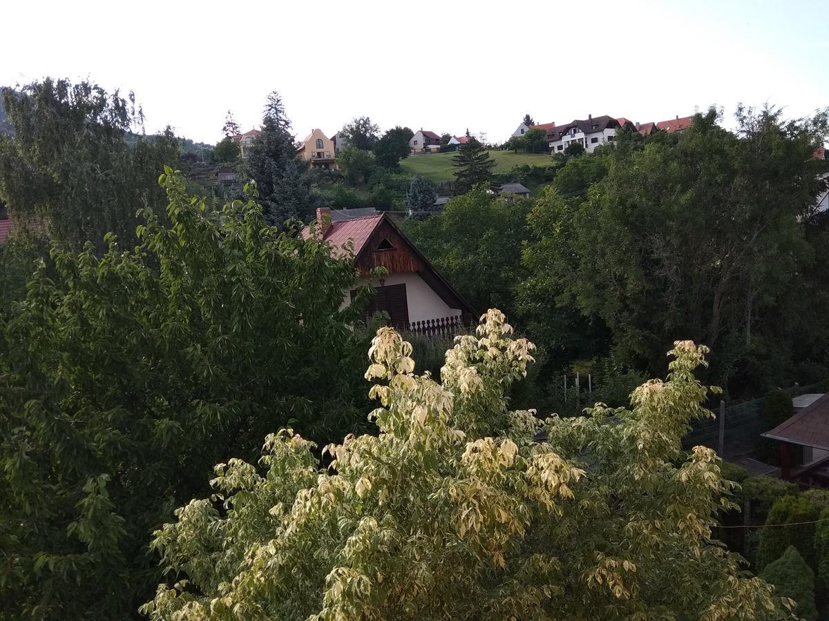 Anna Ilona Vendeghaz Hotel Badacsonytomaj Luaran gambar