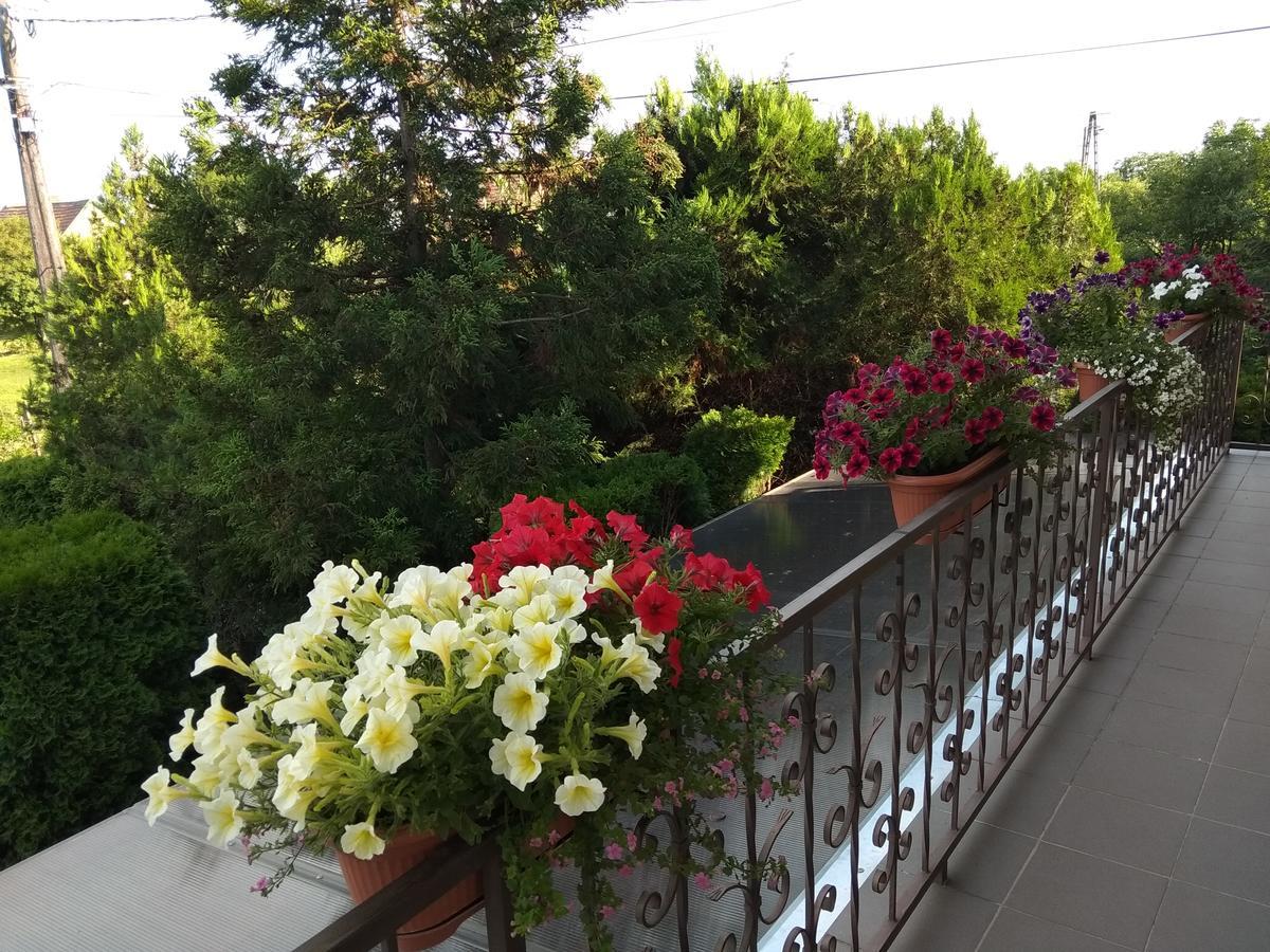 Anna Ilona Vendeghaz Hotel Badacsonytomaj Luaran gambar